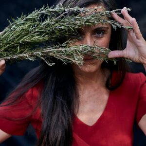 Brújula - Sesión inicial de 1 hora