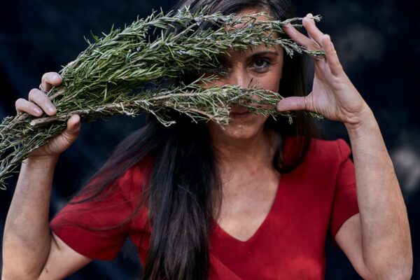 Brújula - Sesión inicial de 1 hora