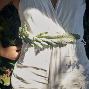 A tu Ritmo - Acompañamiento de 1 mes - 1 sesión