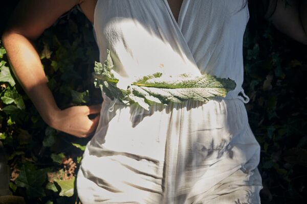 A tu Ritmo - Acompañamiento de 1 mes - 1 sesión