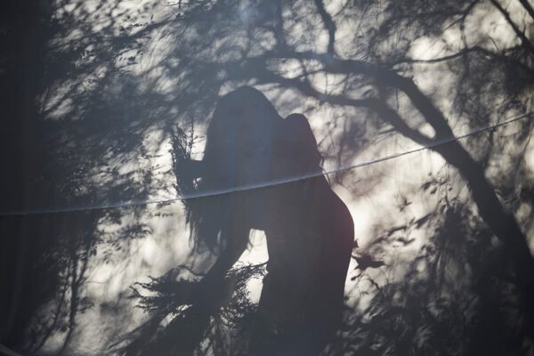 Resiliencia- Acompañamiento 4 meses - 4 sesiones